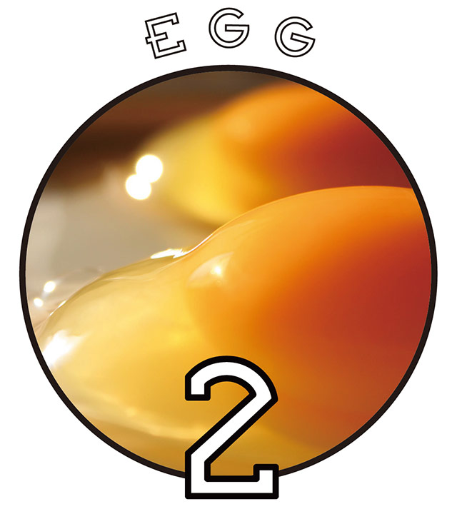 EGG